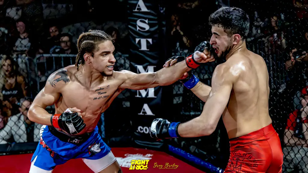 Upcoming fight